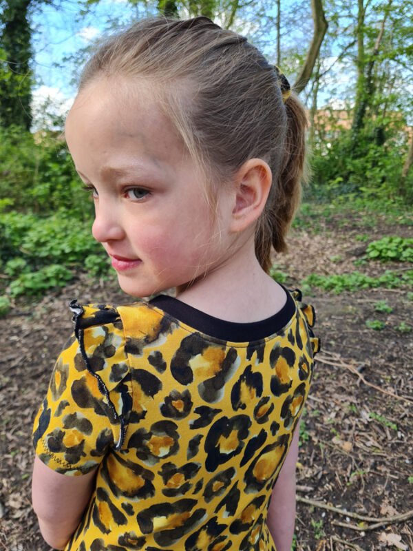Regina Tuniek en Jurk - Nederlands + gratis add-ons - Image 25